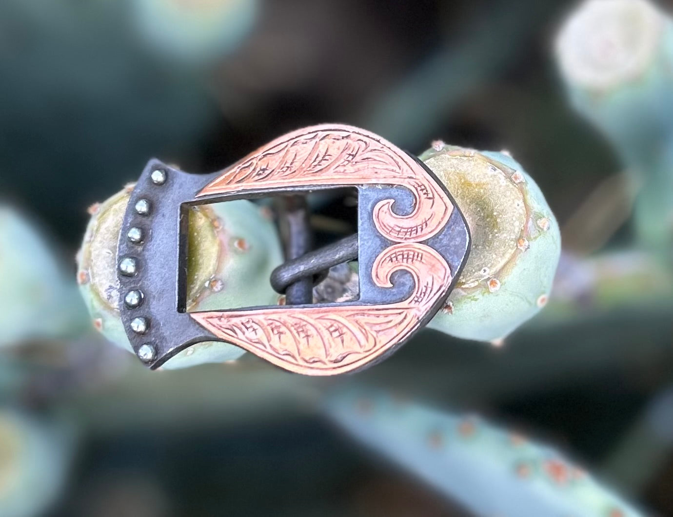 Copper Buckle
