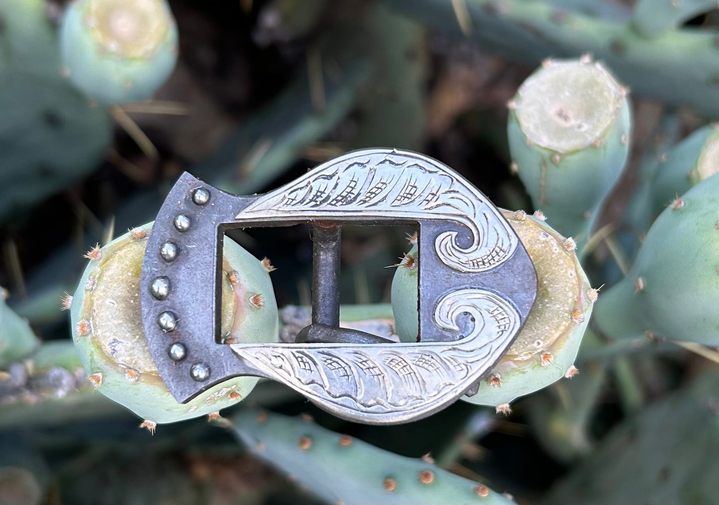 Silver Buckle